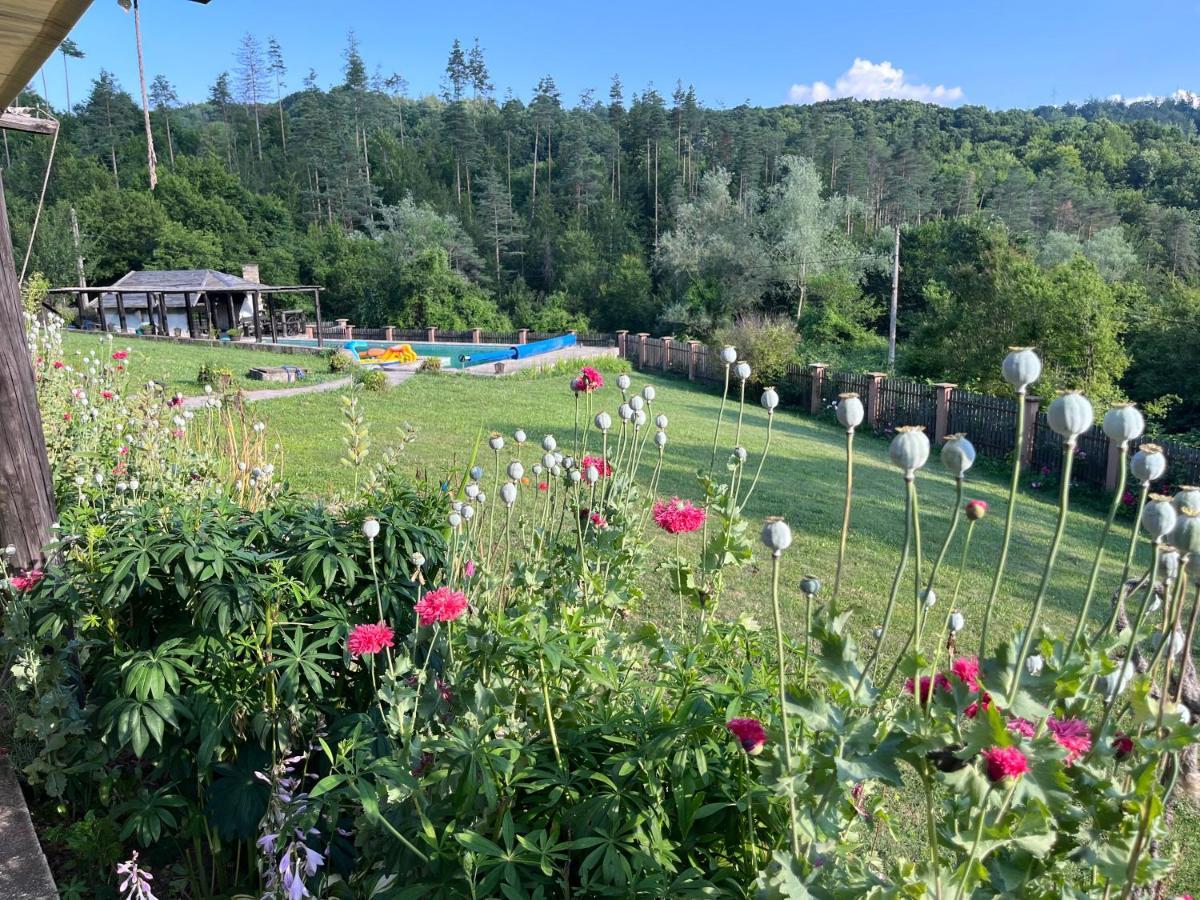 Agriturismo Hidden Paradise Villa Tryavna Esterno foto
