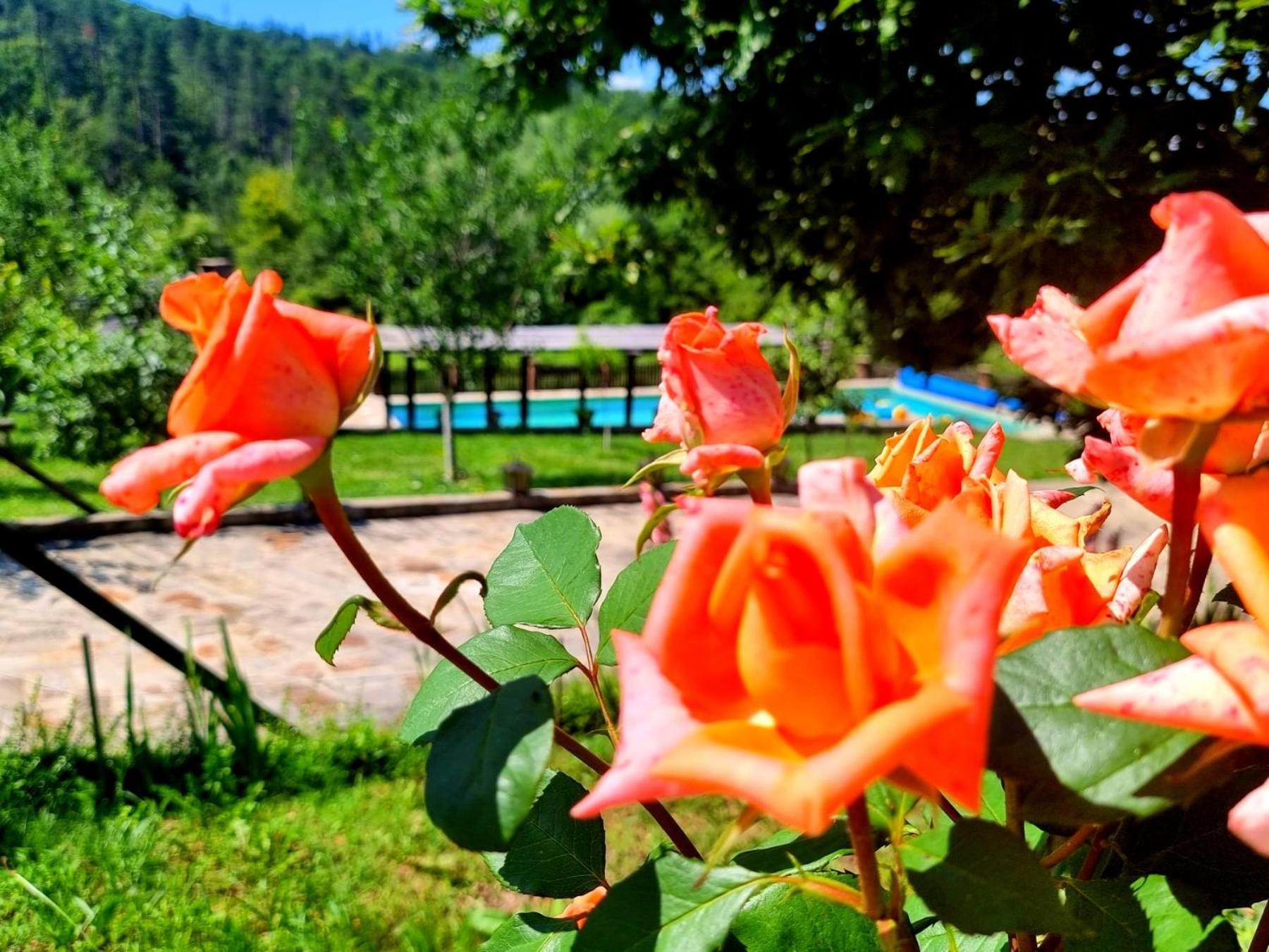Agriturismo Hidden Paradise Villa Tryavna Esterno foto
