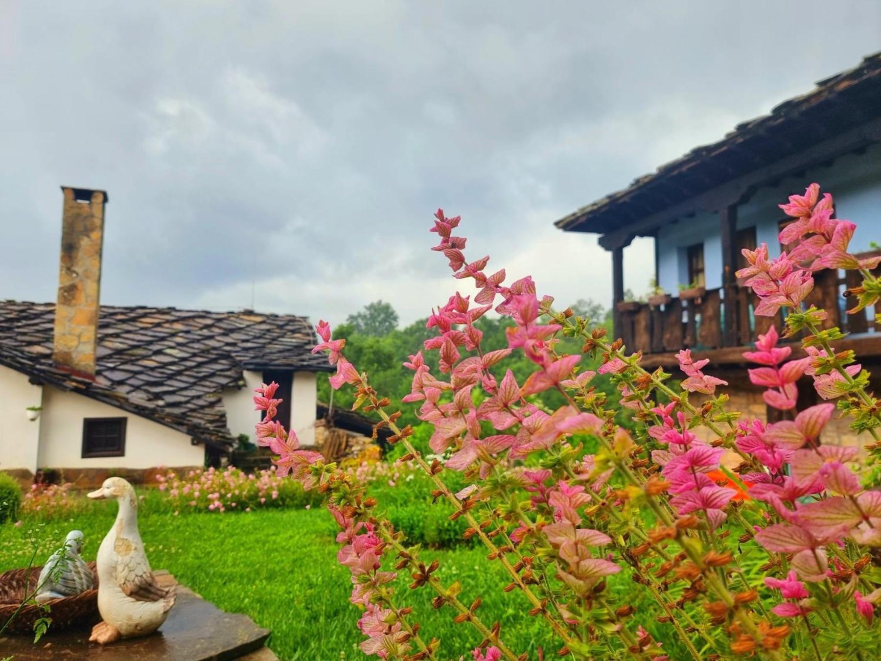 Agriturismo Hidden Paradise Villa Tryavna Esterno foto