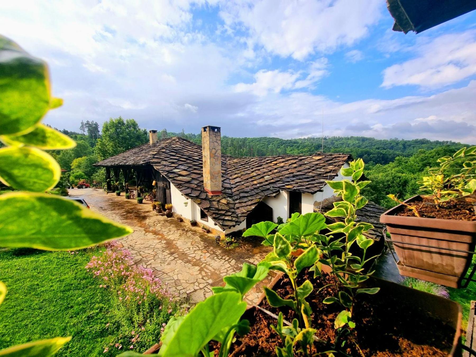 Agriturismo Hidden Paradise Villa Tryavna Esterno foto
