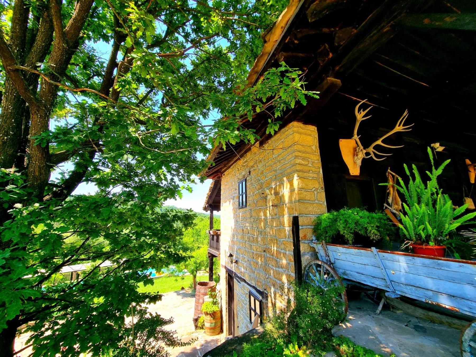Agriturismo Hidden Paradise Villa Tryavna Esterno foto